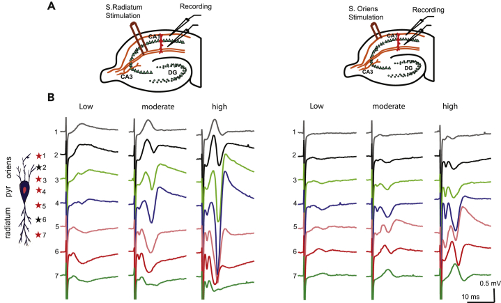 Figure 1