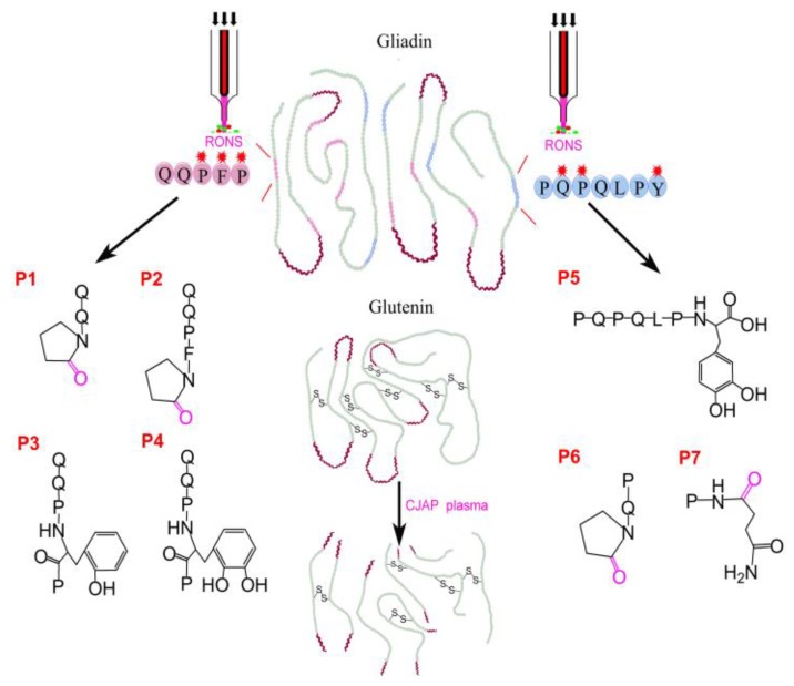 Figure 12