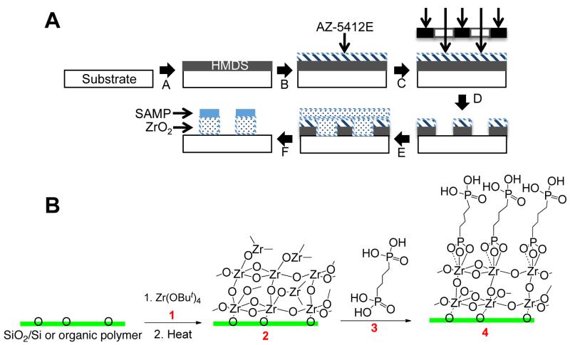 Scheme 1