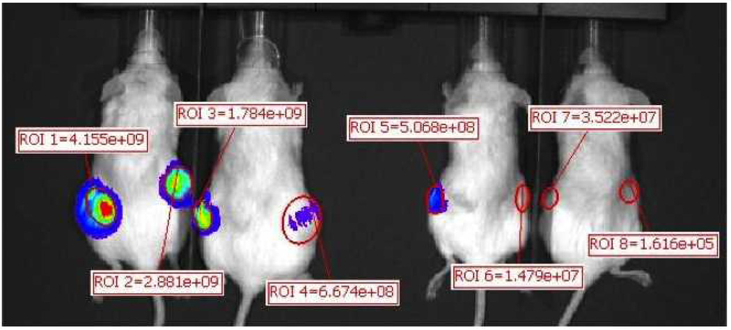 Figure 11