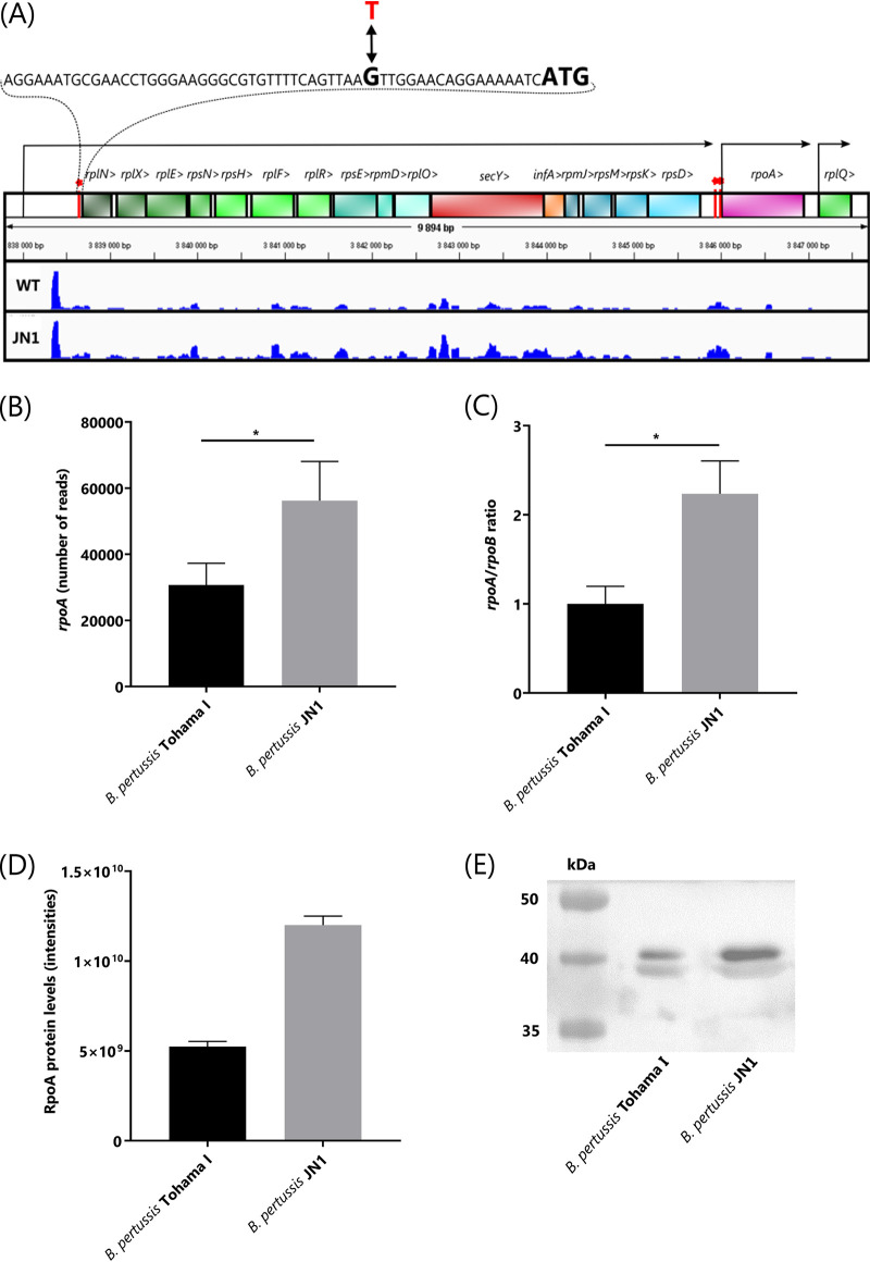 FIG 1