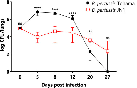 FIG 6