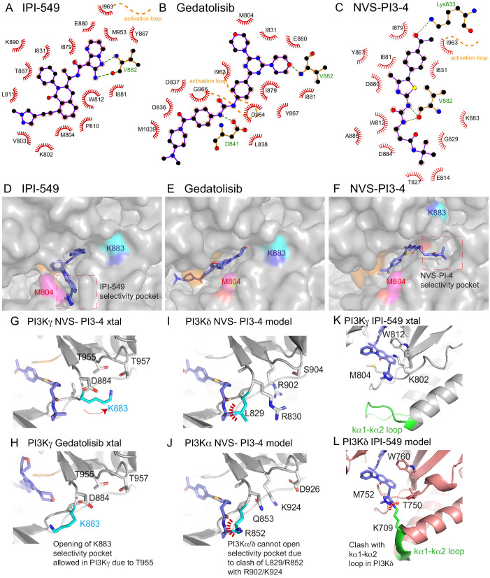 Figure 5—figure supplement 1.