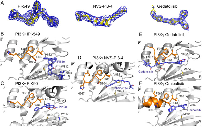 Figure 5—figure supplement 2.