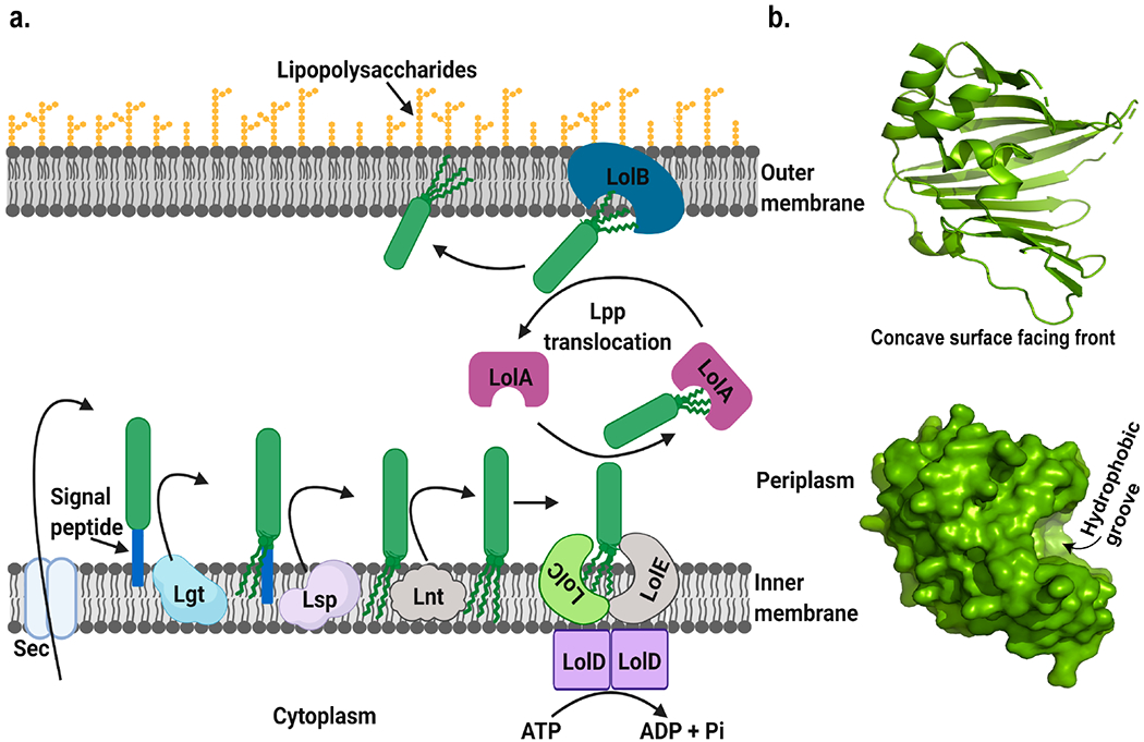 Figure 5.