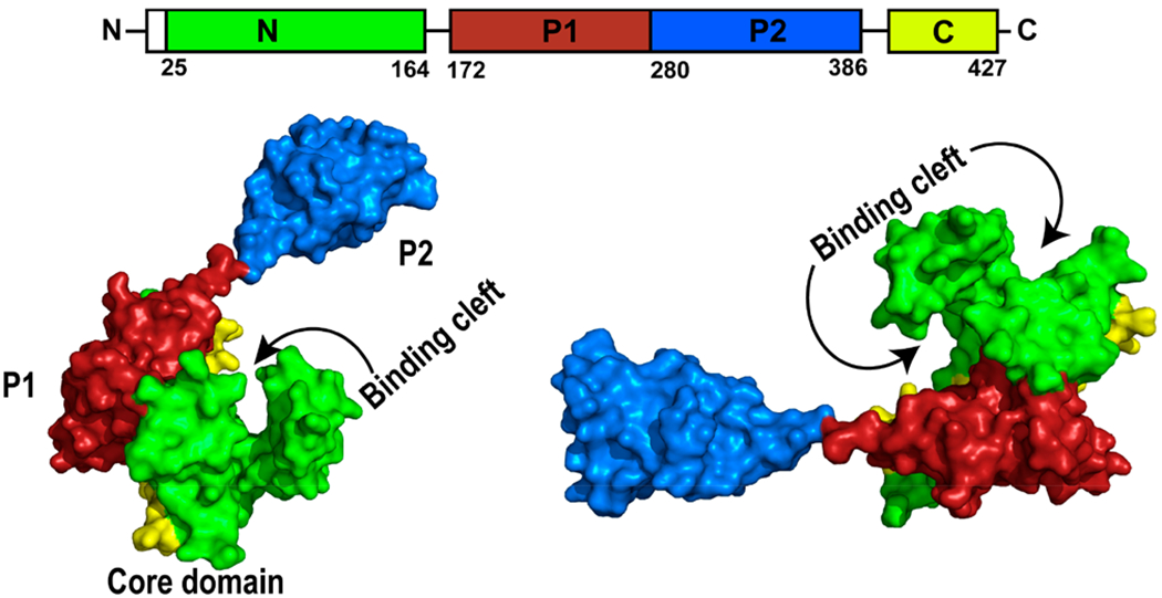 Figure 4.