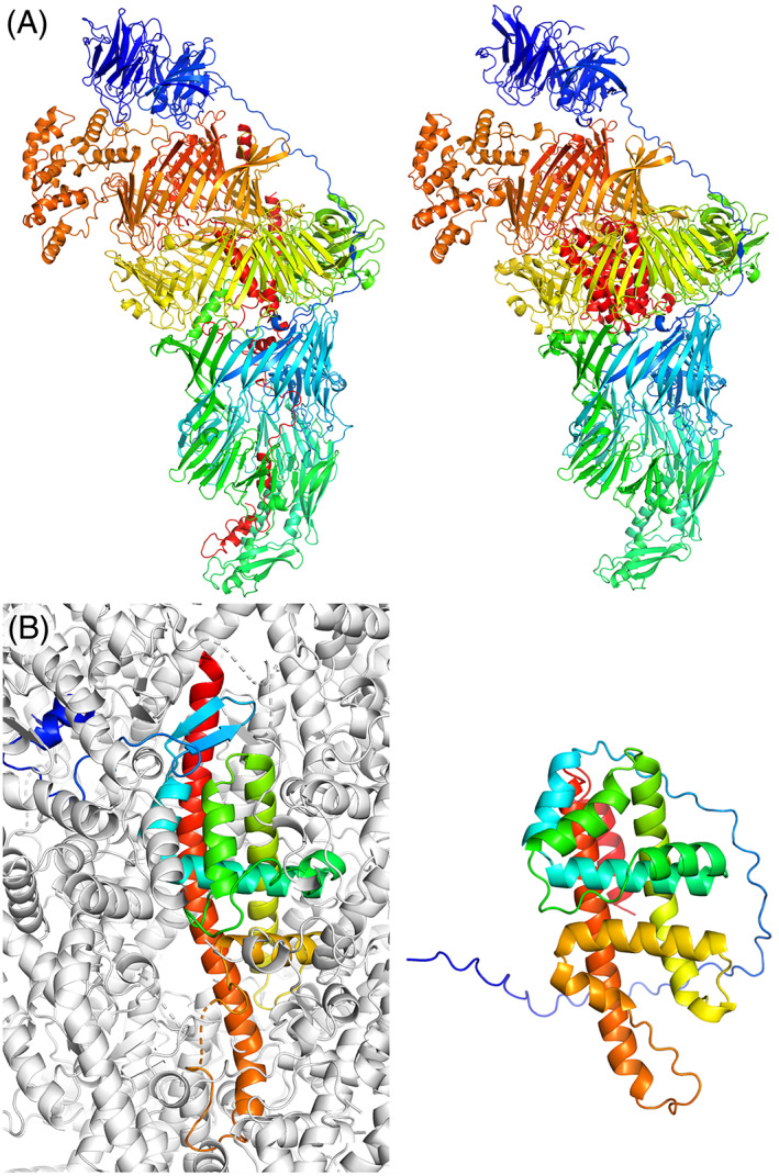 FIGURE 4