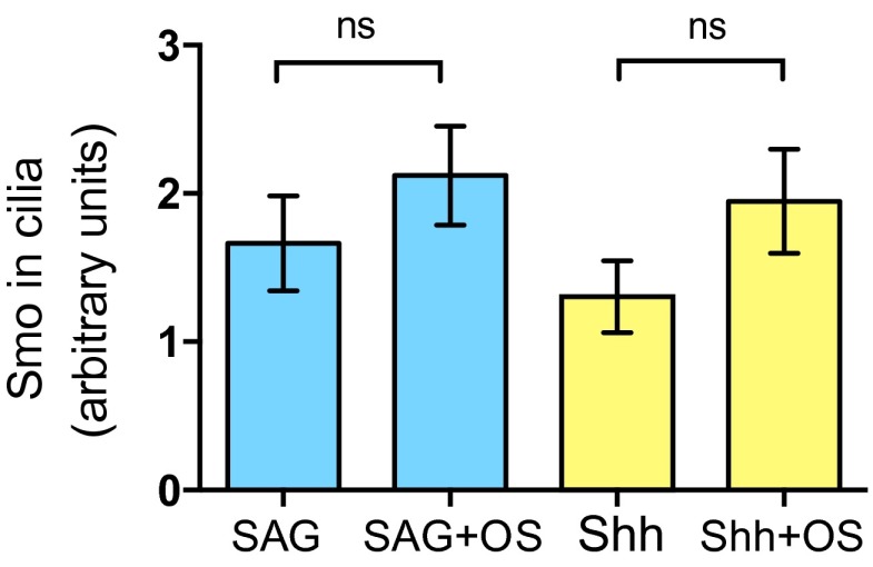 Fig. S2.