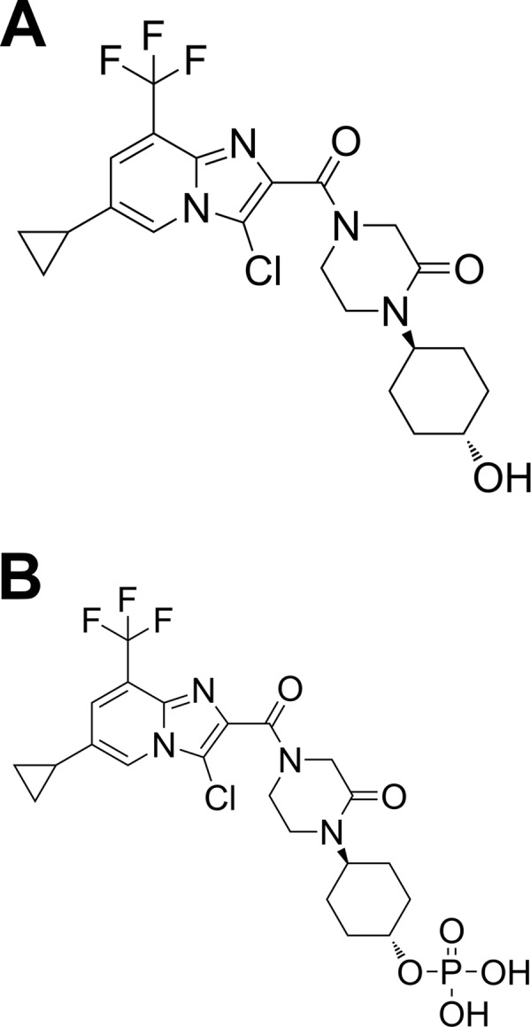 FIG 1