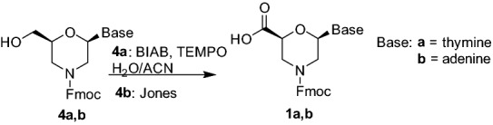 Scheme 3