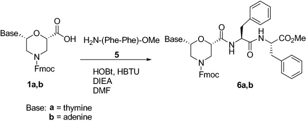 Scheme 4