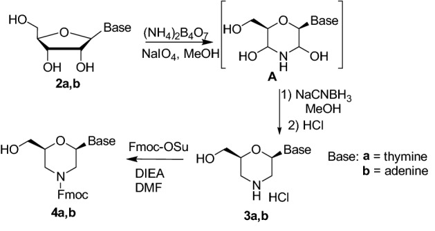 Scheme 2