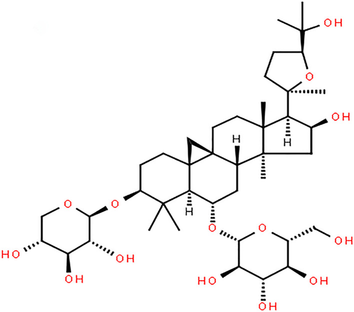 FIGURE 1