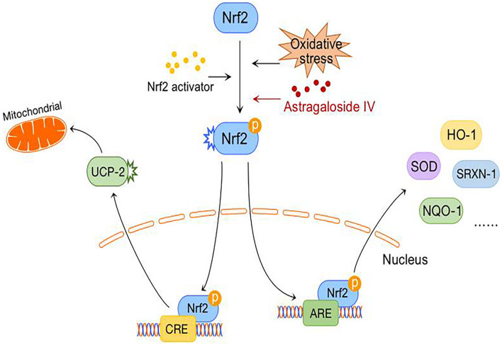 FIGURE 3