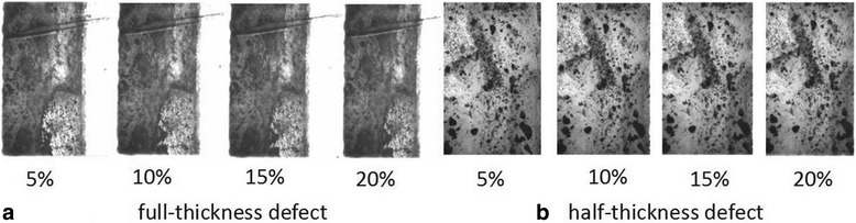 Fig. 4