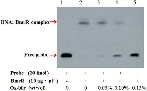 FIG 6