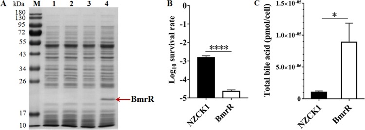 FIG 1