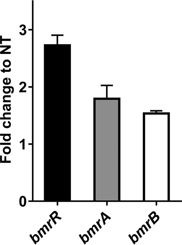 FIG 5