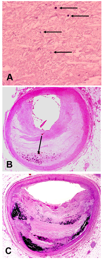 Figure 2: