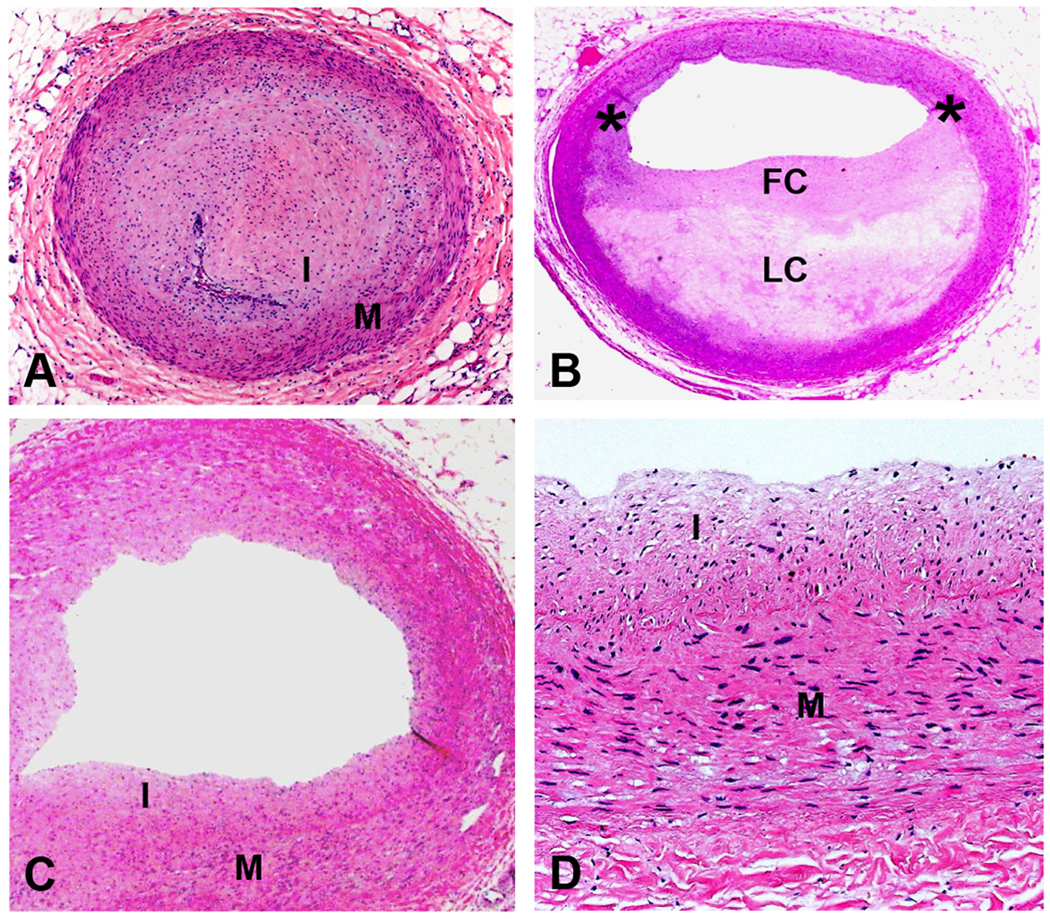 Fig 1: