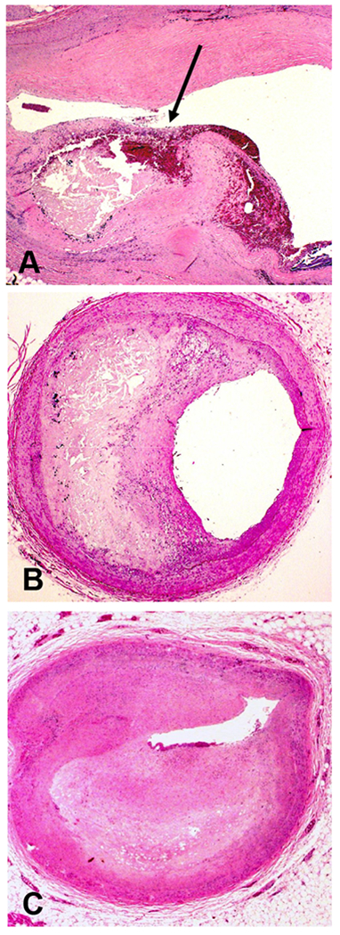 Figure 3: