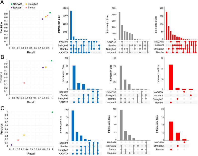 Graphs compare recall versus precision for NAGATA, StringTie2, Isoquant, and Bambu on synthetic data and detail their performance, correct, missed, and false positives, on human, adenovirus, and varicella-zoster virus datasets.