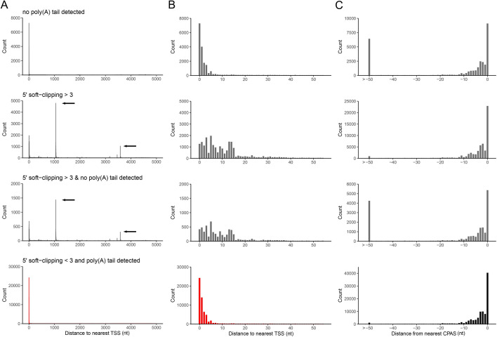 Graphs depicting RNA read alignments near known transcription start (TSS) and end points (CPAS) in the adenovirus genome can differentiate reads based on features like poly(A) tails and potential errors, revealing potential misalignment issues.