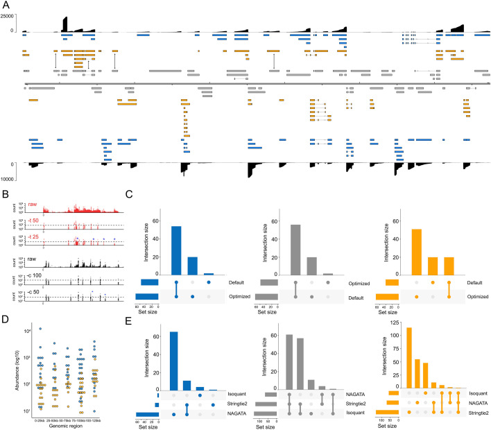 VZV transcriptome reconstruction using NAGATA. Transcript classification, novel transcripts, comparison of transcript identification, quantification of transcript abundance, and comparative analyses against other softwares are shown.