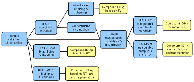 Scheme 3