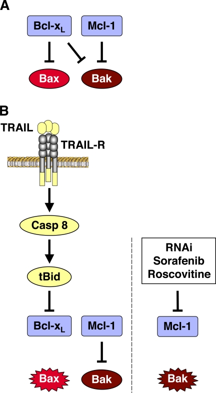 Figure 10.