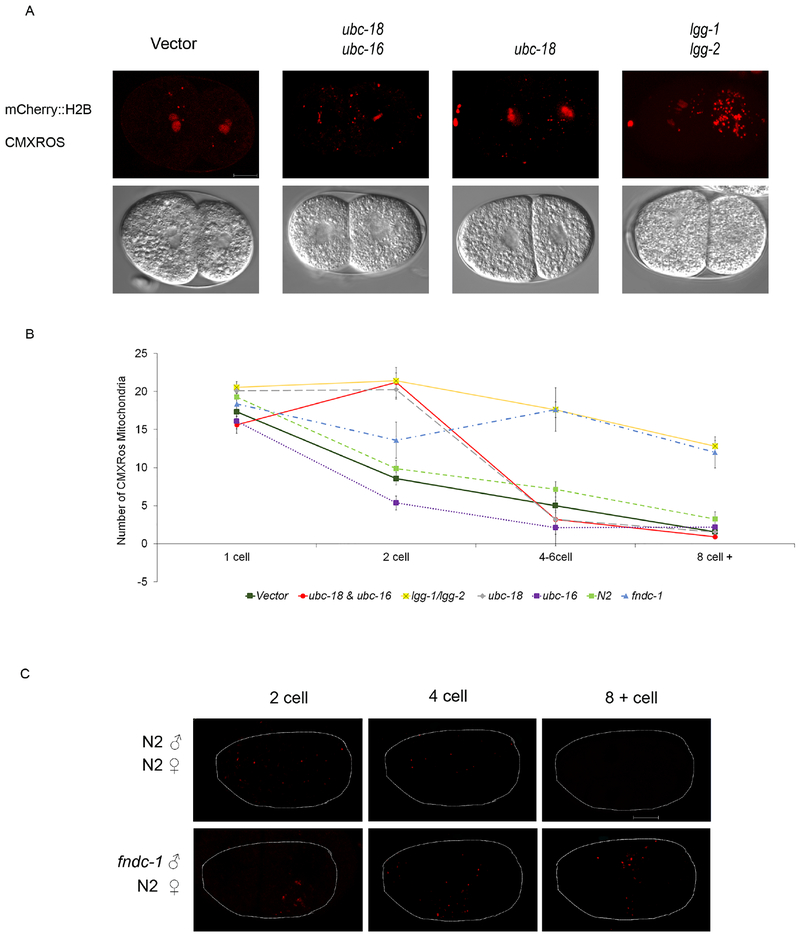 Figure 6.