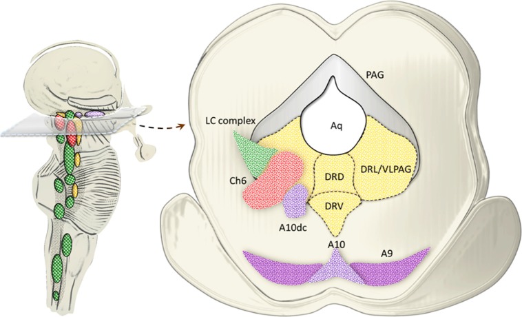 Figure 7