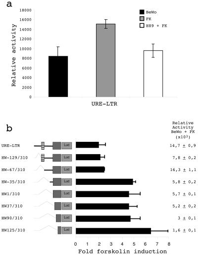 FIG. 6.