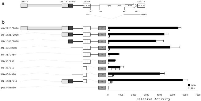 FIG. 2.