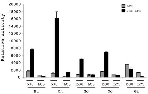 FIG. 4.