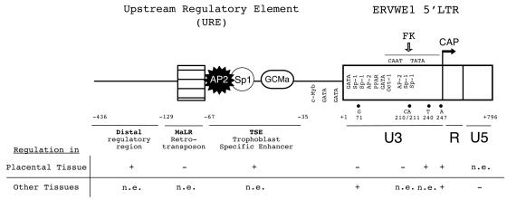 FIG. 7.