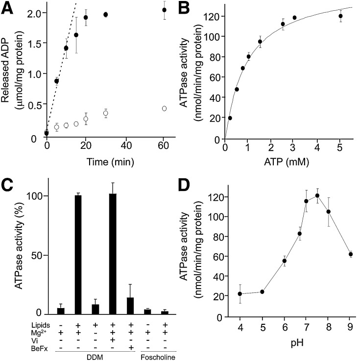 Fig. 4.