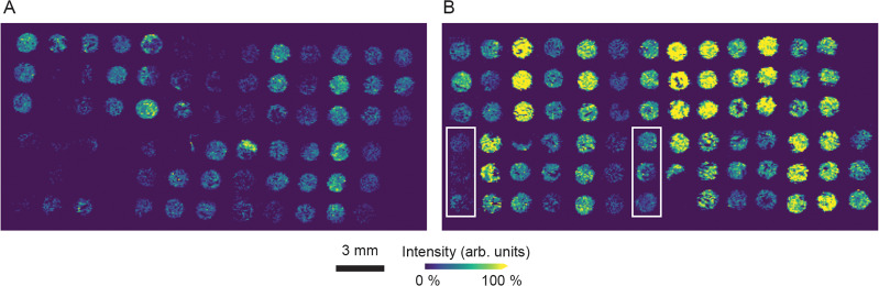 Fig. 3