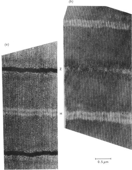 PLATE 2