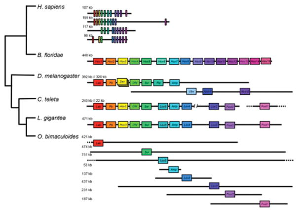 Extended Data Figure 2