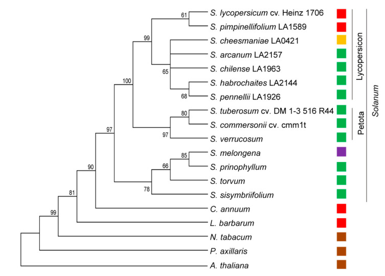 Figure 5