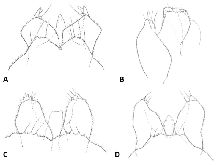 Figure 20