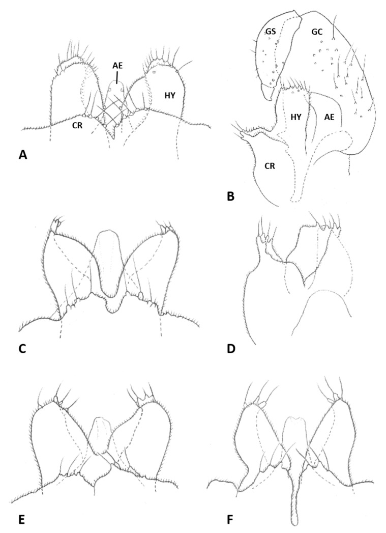 Figure 9