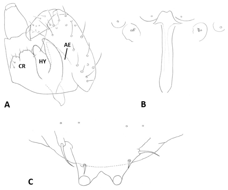 Figure 27