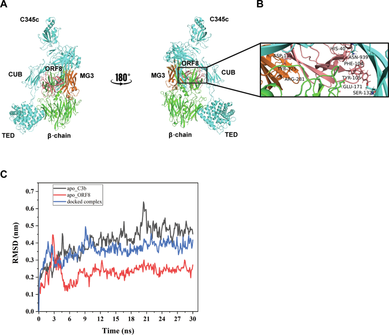 Figure 4