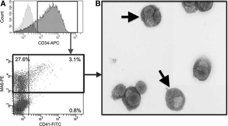 FIG. 5.