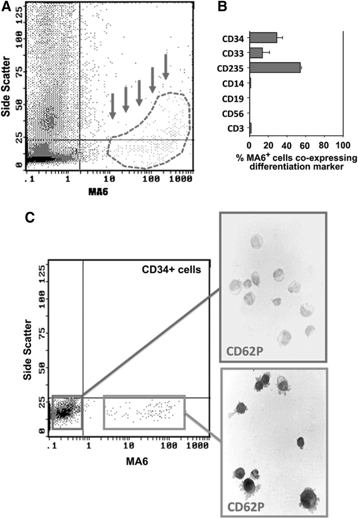 FIG. 1.