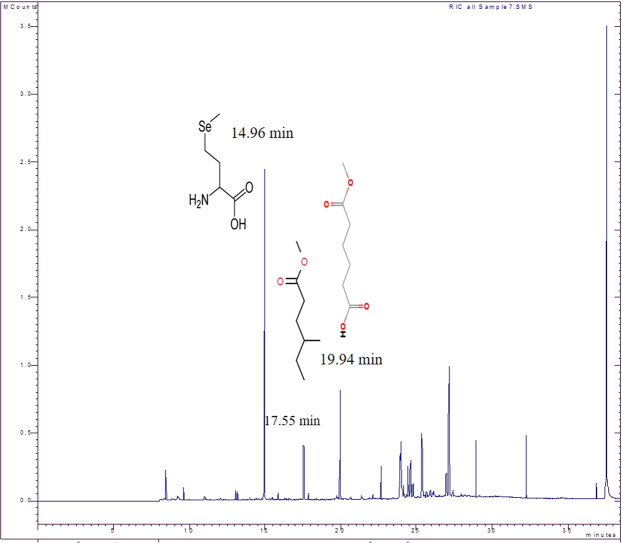 Figure 11