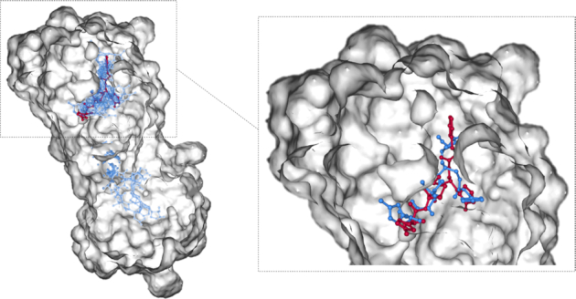 Figure 4.