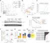Figure 3. SYK kinase activity is more effectively inhibited by MTX-216 than by MTX-211. A, High-throughput kinase inhibition assays (using Z’-LYTE and Adapta platforms) reporting percent inhibition of 403 kinases by MTX-216 and MTX-211 (both at 10 μmol/L) in the presence of ATP at a concentration of Km,app for each target. Dashed line represents y = x. B, IC50 values for the nominal targets of MTX-216 and MTX-211 (PI3K and EGFR) as well as other kinases that were inhibited significantly (>90%) by both compounds (at 10 μmol/L). IC50 values were derived from kinase activity assays performed across 10 concentrations of each compound. Dashed line represents y = x. C, Dose-dependent inhibition of SYK kinase activity by MTX-216 and MTX-211. SYK kinase inhibition was profiled using Z’-LYTE assay in the presence of indicated concentrations of each compound. Data are presented as mean values ± SD calculated across n = 2 replicates. WB measurements (D) and their quantification (E) for p-SYKY525/526 relative to total SYK in MeWo cells treated for 24 hours with indicated concentrations of MTX-216, MTX-211, R406, and entospletinib. Antibodies were costained on the same blot. Data across different treatments conditions are normalized to DMSO-treated cells. F, Differentially upregulated or downregulated genes by MTX-216 and MTX-211 (relative to DMSO) following 24 hours treatment in WM3918 and MeWo cells. Significant genes were identified as |log2(fold change)| ≥ 1 and adjusted P value (FDR) ≤ 0.05. G, Number of significant genes upregulated or downregulated by only one of the compounds or by both compounds in each of the WM3918 and MeWo cell lines. H, Number of genes downregulated specifically by MTX-216 in either or both of WM3918 and MeWo cell lines. I, Top enriched kinase perturbation terms associated with 231 genes downregulated specifically by MTX-216 (but not by MTX-211) in both WM3918 and MeWo cell lines.